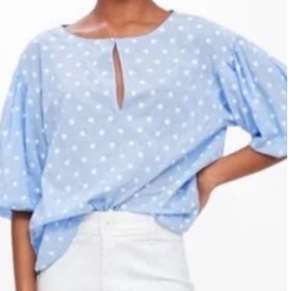 ZARA EMBROIDERED POLKA DOT TOP